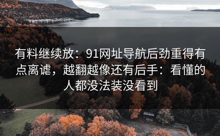 有料继续放：91网址导航后劲重得有点离谑，越翻越像还有后手：看懂的人都没法装没看到